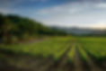 wealth planning marin county ca