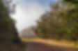 wealth planning marin county ca