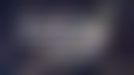 Stock Market Highs & Concentration: What Investors Should Know