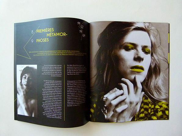 marie defforges,defforges marie,mdgraph,david bowie,graphiste,graphiste mulhouse