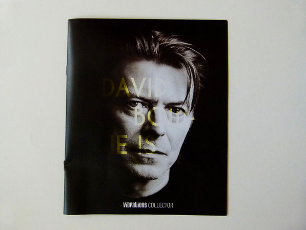 marie defforges,defforges marie,mdgraph,david bowie,graphiste,graphiste mulhouse