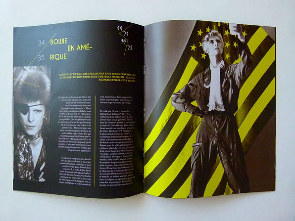 marie defforges,defforges marie,mdgraph,david bowie,graphiste,graphiste mulhouse