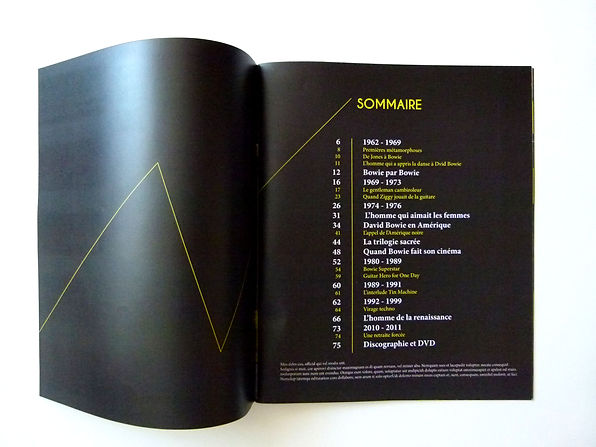 marie defforges,defforges marie,mdgraph,david bowie,graphiste,graphiste mulhouse