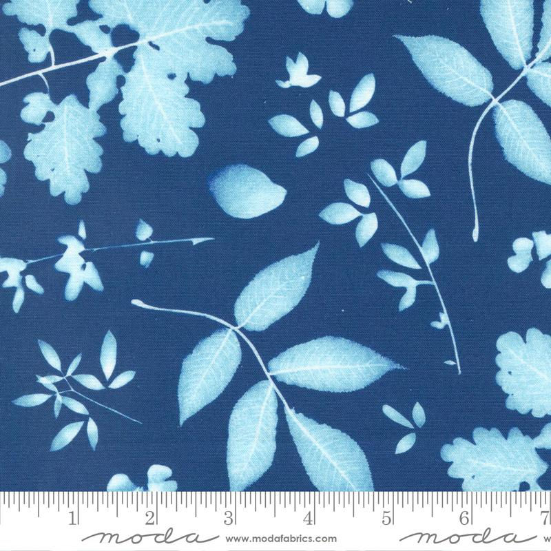 Bluebell - 112