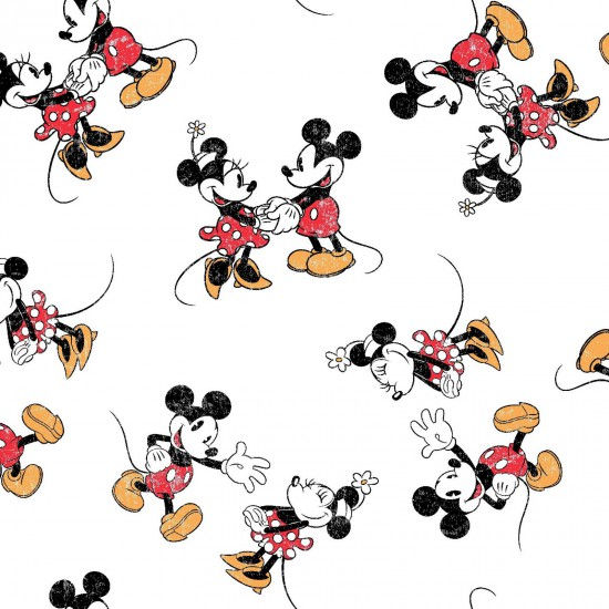 Mickey and Minnie 102