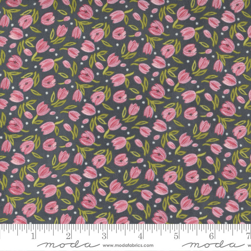 Tulip Tango - Shadow 1314