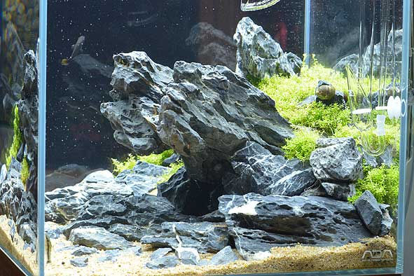 レイアウト制作のご依頼ありがとうございます