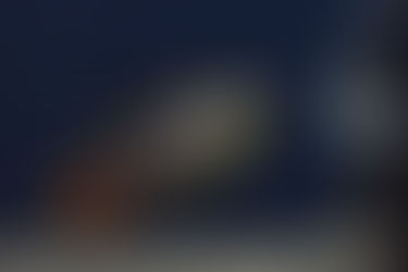 アピストグラマ・アガシジィ入荷‼