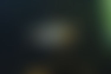 極美ラミレジィ、アピスト入荷‼