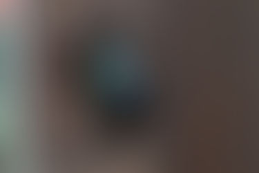 ベタ入荷のご案内。