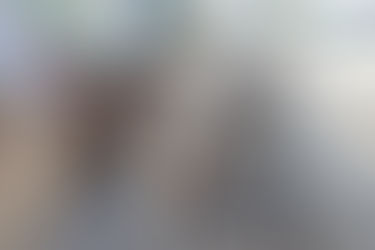 流木どっかーん入荷‼