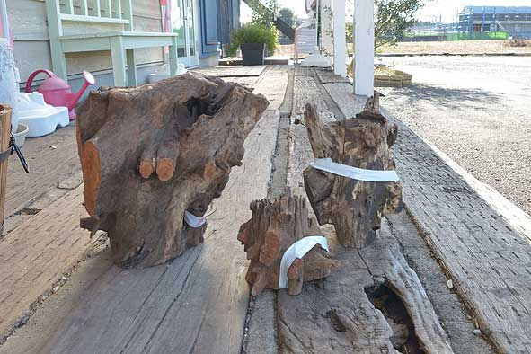 流木どっかーん入荷‼