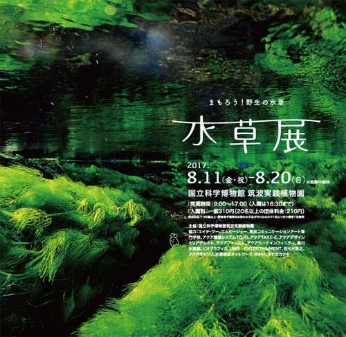 水草展2017