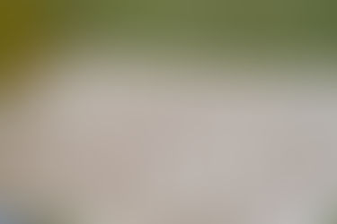 ろ材交換してますか?