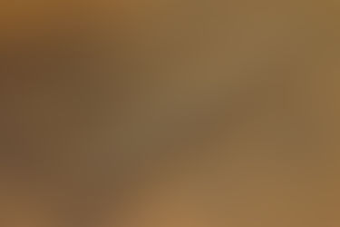 ADA新商品&アクアリウム用ボンド入荷!