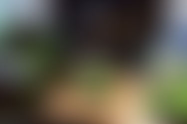 グラスアクアリウム、NEWラインナップ‼