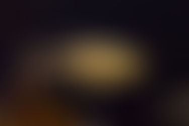 XLサイズ コンゴテトラ入荷‼