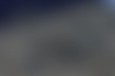 バイランティ入荷!