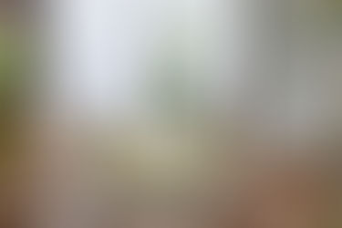 DOOA ちいさな水辺ネオ入荷!