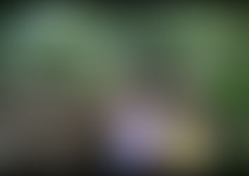 Gold Day. Formerly A Day. Day 17