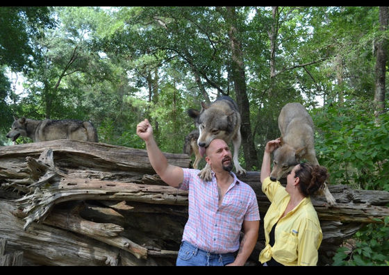 Gold Day. Formerly A Day. Day 17