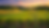 wined2.png