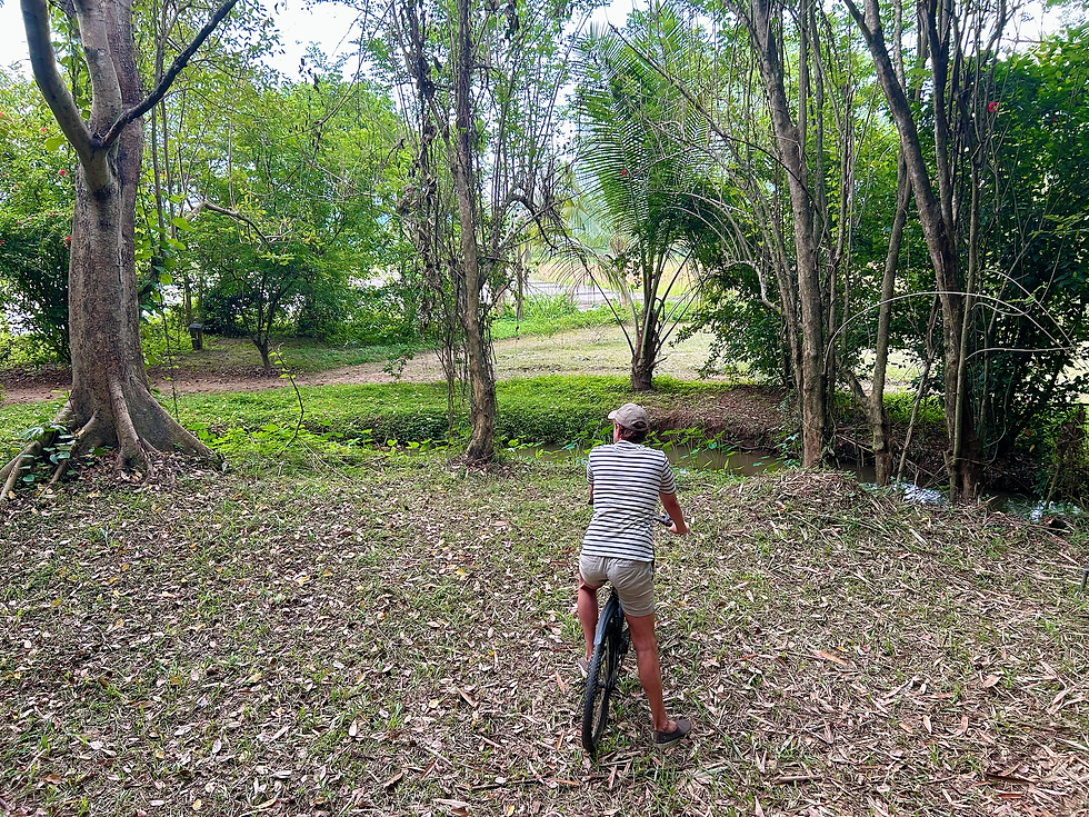Cuando ir a Sri Lanka para ver sus campos de arroz