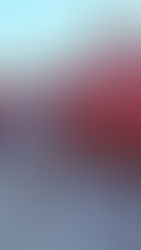 EL MERCADO DE NAVIDAD DE LA PLAZA MAYOR NUNCA PASA DE MODA