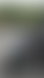 LA VESPA MÁS PIJA DEL MERCADO