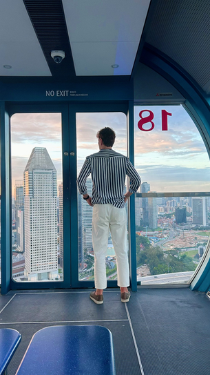 SINGAPUR VISTA DESDE LA NORIA MÁS ALTA DEL MUNDO