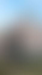 UN REY OLMECA EN MADRID