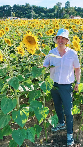 QUÉ TIENEN LOS CAMPOS DE GIRASOLES QUE NOS GUSTAN TANTO