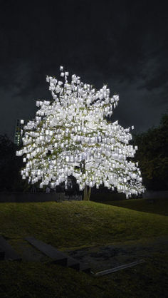 "HOJAS POR HOJAS" DE LUZINTERRUPTUS TE HARÁ REFLEXIONAR