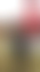 EN EL ADAM MUSEUM DE BRUSELAS TODO ES DE PLÁSTICO