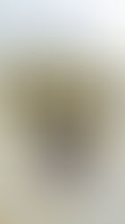 ATENAS, QUE BIEN VOLVERTE A VER