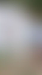 EN ESTE PUEBLO HAY OBRAS DE ARTE POR TODAS PARTES