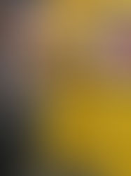 UNA TARDE CON MARILYN EN MADRID