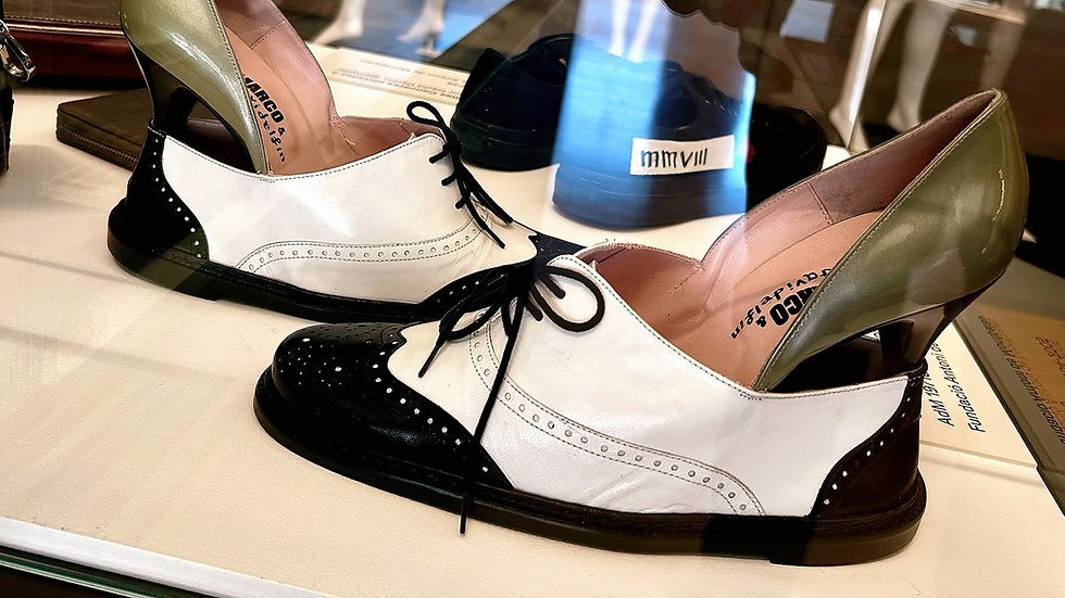 Zapatos de David Delfín