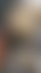 ¿TE APETECE UN PASTEL DE POLLO “MADE IN USA”? 