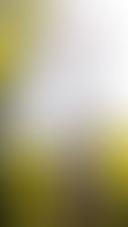 BANSKY, ENTRE LO GENIAL Y LO HOOLIGAN, EN MADRID