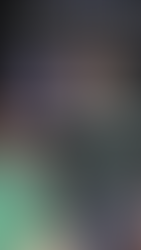 Y ASÍ FUE LA MFSHOW MEN