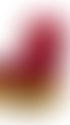 VERGÉS & BERIESTAIN 