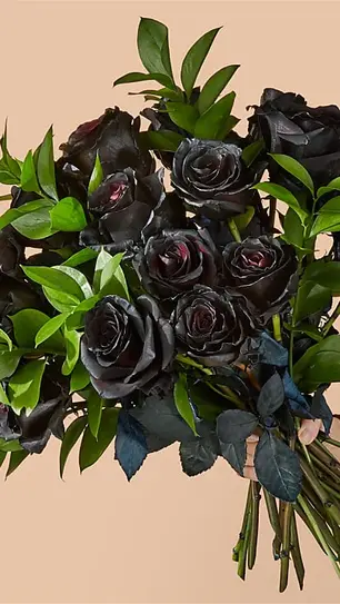 10 PLANTAS CON FLORES NEGRAS O GÓTICAS PARA TU NOCHE DE HALLOWEEN
