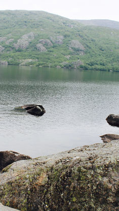 AGUA EN CASTILLA Y LEÓN (Y MUCHA)