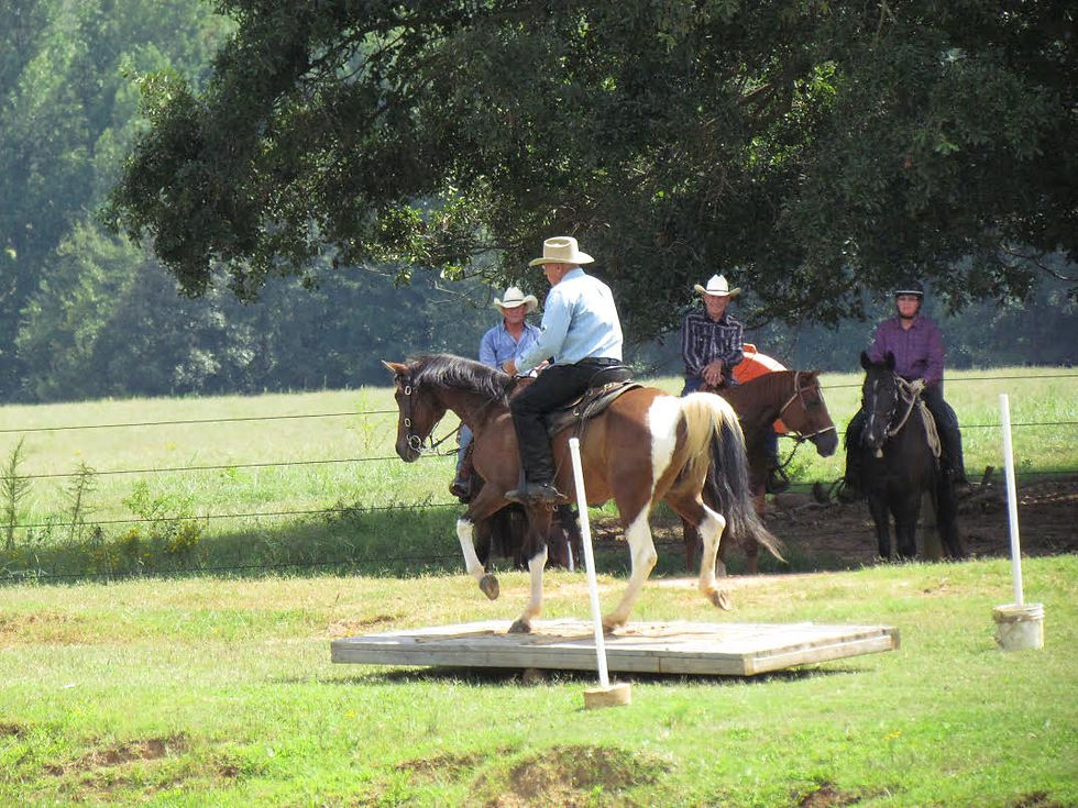 Teeter Totter