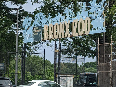 Family Activity: 5 Tips for the Bronx Zoo