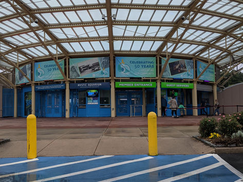 Family Activity: 5-Tips for Mystic Aquarium