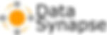 DAtaSynapse-Logo.jpeg