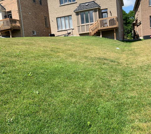 Sloped backyard lawn behind a two-storey brick home with raised wood deck and open green space by Horvath Landscapes