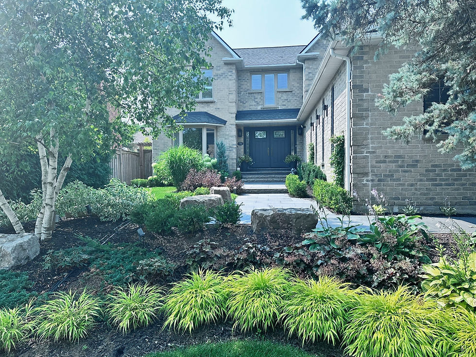 Transforming a Corner Lot in Aurora: A Custom Landscaping Journey